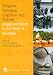 Religious Narrative, Cognition and Culture: Image and Word in the Mind of Narrative (Religion, Cognition & Culture)