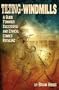 Tilting At Windmills Volume 2