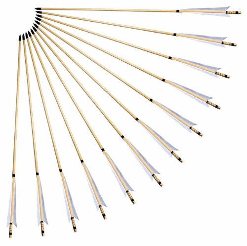  NuoYa005 White Feather Wooden Arrows Archery For Longbow pack of 12 