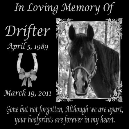 12 x 12 Lazer Gifts Personalized Gone But Not Forgotten Black Granite Pet Memorial Marker Style Drifter