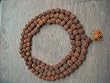 Rudraksha Full Mala Yoga Meditation Shiva Mala (108+1) Beads