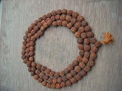 Rudraksha Full Mala Yoga Meditation Shiva Mala (108+1) Beads