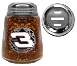 #3 Dale Earnhardt RCR Racing Red Pepper Shaker by Bergamot
