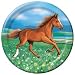 My Horse Lunch Plates 8ct