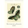 Cavallini Butterflies and Insects 2010 Wall Calendar 13 by 19 inch