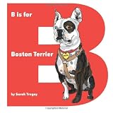 B is for Boston Terrier