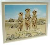 Novelty Meerkat Family Laptray. A Cushion TV Lap Tray