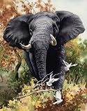 Elephant Art Print Signed by Artist DJ Rogers