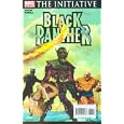 Black Panther #30 : Guest Starring the Marvel Zombies in 'Absolutely No Way To Win' (Civil War Initiative - Marvel... by  Reginald Hudlin, Francis Portela, and Arthur Suydam