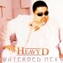 Waterbed Hev