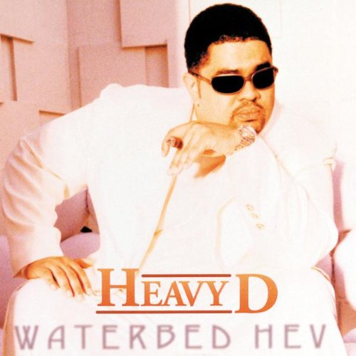 HEAVY D - Vibes - Zortam Music