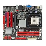Biostar Socket 478/Intel G31/DDR2/A&V&L/Micro ATX Motherboard G31-M4