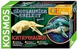 Eigenschaften KOSMOS 630263 / Kosmos 630263 - Dinosaurier Skelett: Ichthyosaurus