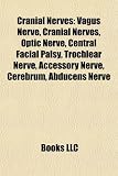 Cranial Nerves: Vagus Nerve, Cranial Nerves, Optic Nerve, Central Facial Palsy, Trochlear Nerve, Accessory Nerve, Cerebrum, Abducens Nerve