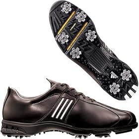 Brown Torsion Euro II