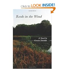 Reeds in the Wind