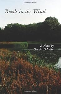 Image of Reeds in the Wind
