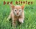 Bad Kitties 2009 Wall Calendar