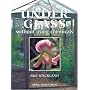 Growing Under Glass: Without Using Chemicals (Organic Handbook)