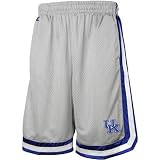 Kentucky Wildcats Silver Transition Mesh Shorts