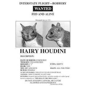 Squirrel Wanted Poster