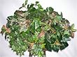 Deluxe Mixed Greenery Basket Arrangement