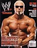 WWE Magazine 2003 Year in Review 12 Issue Set