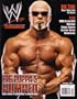 WWE Magazine 2003 Year in Review 12 Issue Set