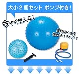 ストレッチボディボール(大55ｃｍ小21ｃｍ2個セット) 各ポンプ付　RJ409