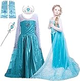 Snow Queen Glitter Dress Party Dress Costume with Dress-up Accessories (Ages 3-4)