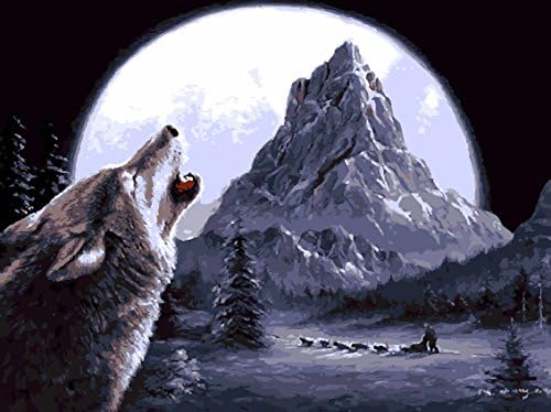 16"in x 20"in Paint by Numbers Diy paint by number canvas wolf with Framed