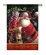 Mister Claus Silk Reflections Regular Size Flag