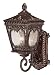 Atlanta Park Collection 21 High Outdoor Wall Light