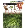 Plant (DK Eyewitness Books)