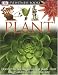 Plant (DK Eyewitness Books)