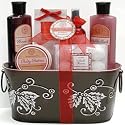 Aquaterra Bath Collection - Sugared Cranberry Bath and Body Spa Set