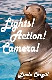 Lights! Action! Camera!