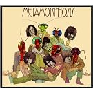 Metamorphosis
