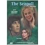 The Seagull