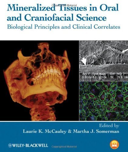 Mineralized Tissues in Oral and Craniofacial Science: Biological Principles and Clinical Correlates by Wiley-Blackwell (2012-06-05)