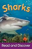 Sharks