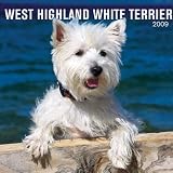 West Highland White Terriers 2009 Wall Calendar