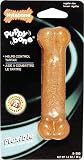 Nylabone Puppybone Regular
