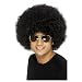 Black Funky Afro Wig