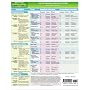 MemoCharts Pharmacology: The Autonomic Nervous System (review chart)