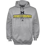 adidas Michigan Wolverines Ash All Out Hoody Sweatshirt