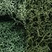 Lichen, Light Green Mix 3Qt
