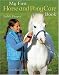 My First Horse and Pony Care Book (My First Horse and Pony)