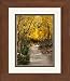 Framed Personalized Graduation Gift. Aspen Path Photo with Quote, 8x10 Double Matted. Add Your Personalization for a Special Keepsake for Graduate