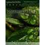 Northanger Abbey